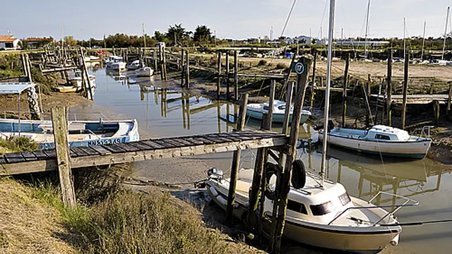 Photo de La Couarde-sur-Mer