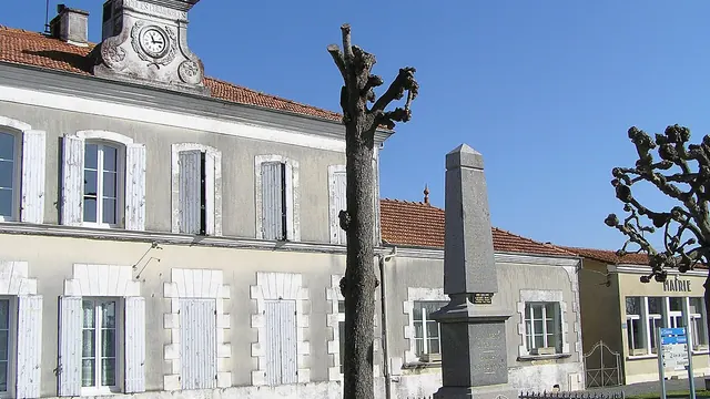 Photo de Haimps