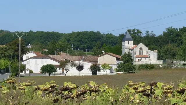 Photo de Mortiers