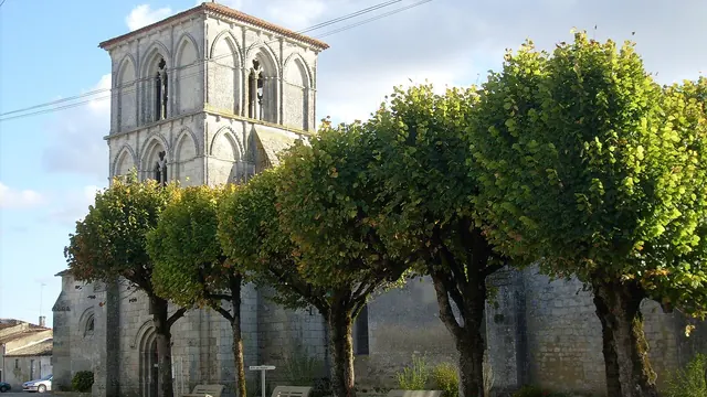 Photo de Saint-Ciers-du-Taillon