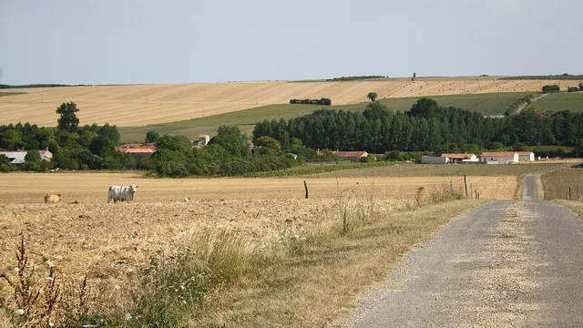 Photo de Saint-Pierre-de-Juillers