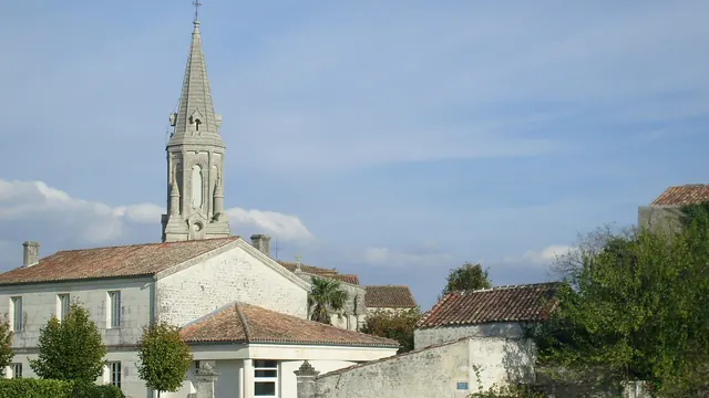 Photo de Tesson