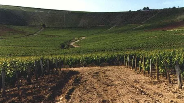 Photo de Bué