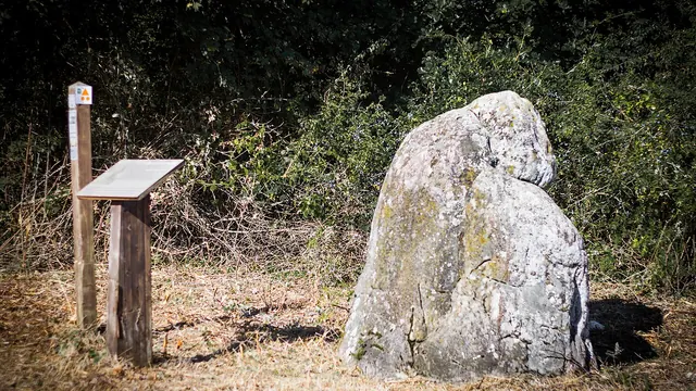 Photo de Saint-Georges-sur-Moulon