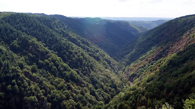 Photo de Camps-Saint-Mathurin-Léobazel
