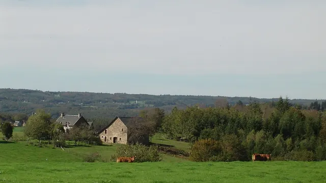Photo de Saint-Pantaléon-de-Lapleau
