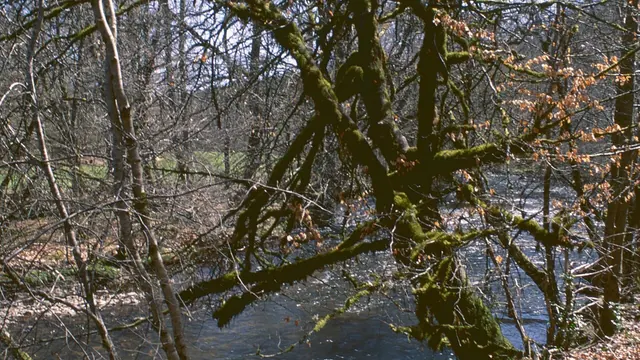 Photo de Saint-Pardoux-le-Vieux