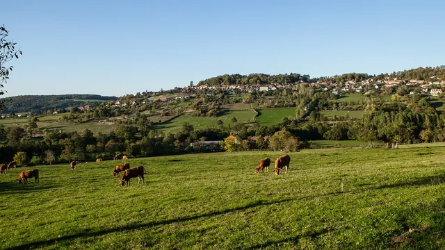 Photo de Alise-Sainte-Reine
