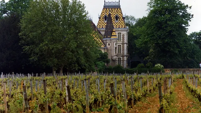 Photo de Aloxe-Corton