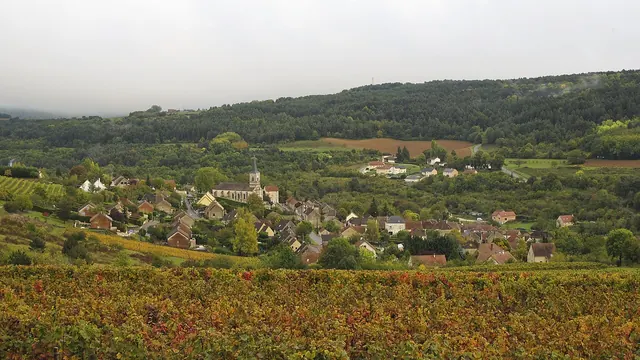 Photo de Arcenant