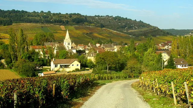 Photo de Auxey-Duresses