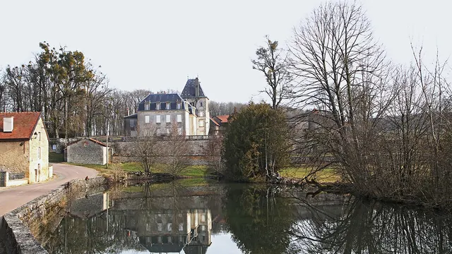 Photo de Échalot