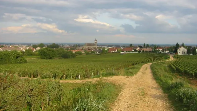Photo de Marsannay-la-Côte