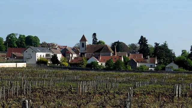 Photo de Morey-Saint-Denis
