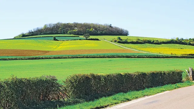 Photo de La Motte-Ternant