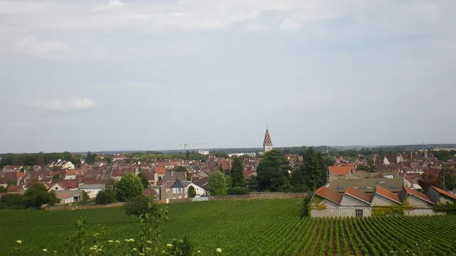 Photo de Nuits-Saint-Georges