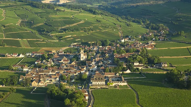 Photo de Pommard