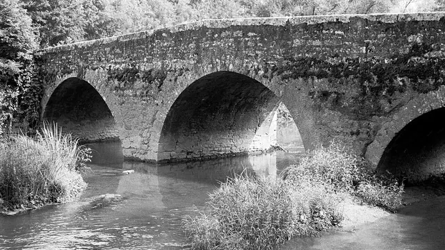 Photo de Quincerot