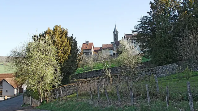 Photo de Vaux-Saules