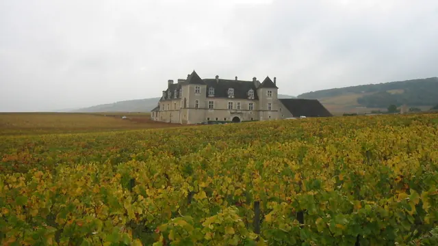 Photo de Vougeot