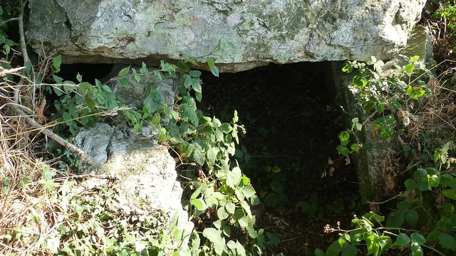 Photo de Plénée-Jugon