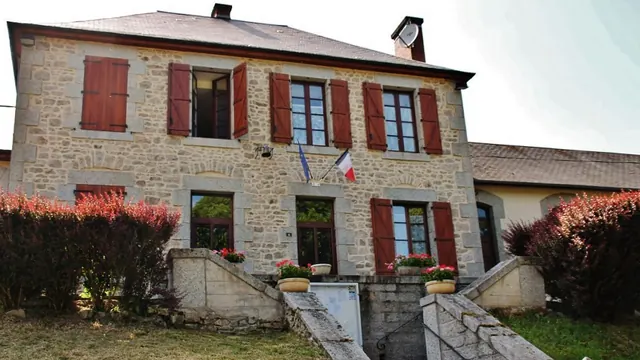 Photo de Chard