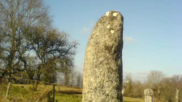 Photo de Le Donzeil