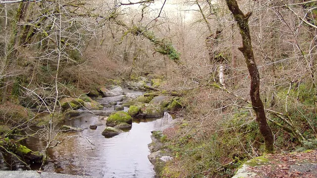 Photo de Saint-Martin-Château