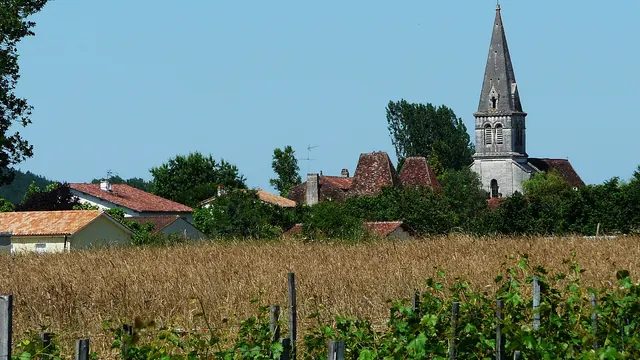 Photo de Antonne-et-Trigonant