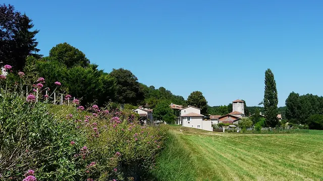 Photo de Bussac