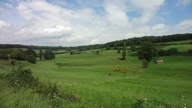 Photo de La Dornac