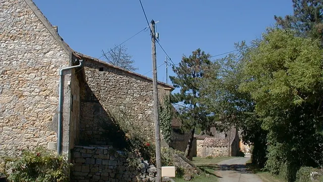 Photo de Faux