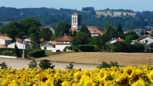 Photo de Gout-Rossignol