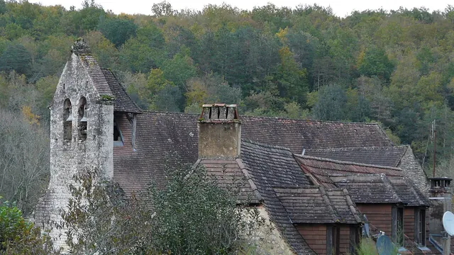Photo de Manaurie