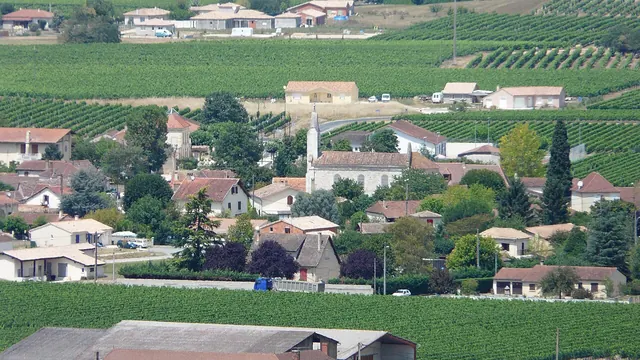 Photo de Saint-Laurent-des-Vignes