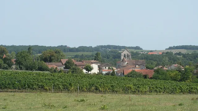 Photo de Singleyrac