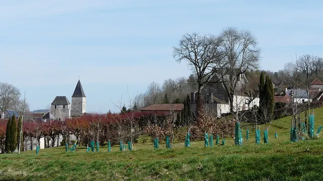 Photo de Tourtoirac