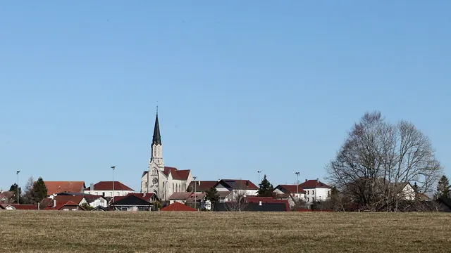 Photo de Les Écorces