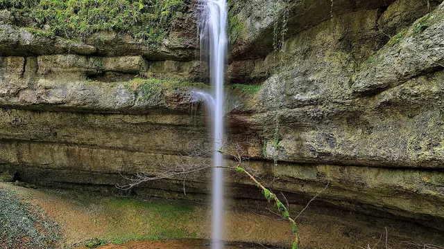Photo de Orgeans-Blanchefontaine
