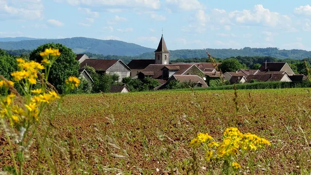Photo de Pouilley-Français