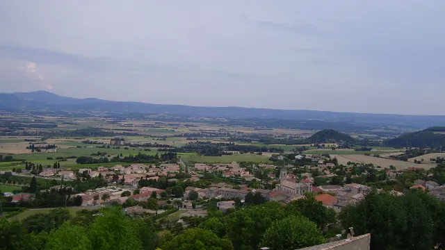 Photo de Marsanne