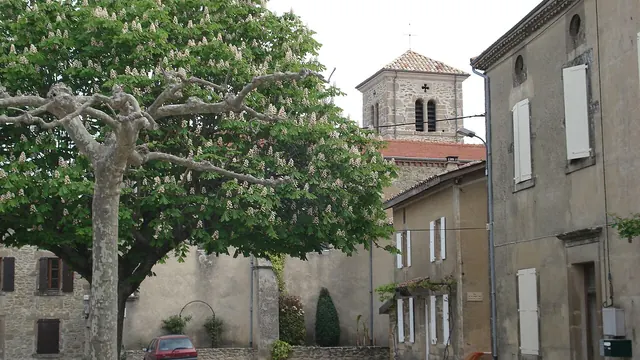 Photo de Ratières