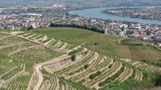 Photo de Tain-l'Hermitage