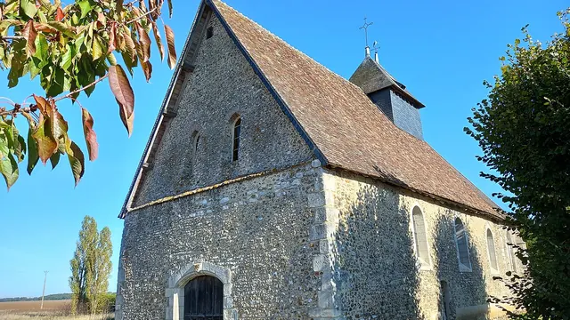 Photo de Mouettes