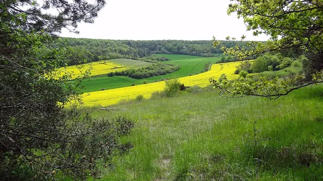 Photo de Boncourt