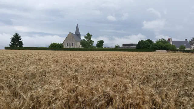 Photo de Conie-Molitard