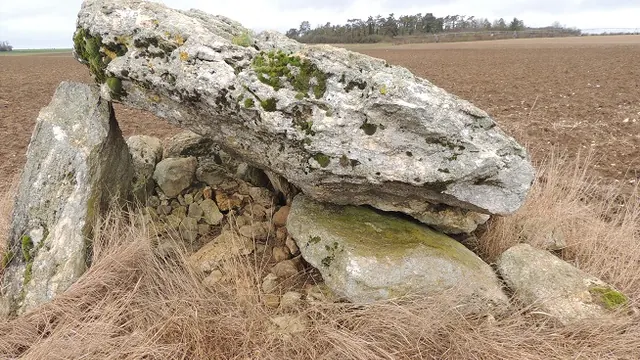 Photo de Tillay-le-Péneux