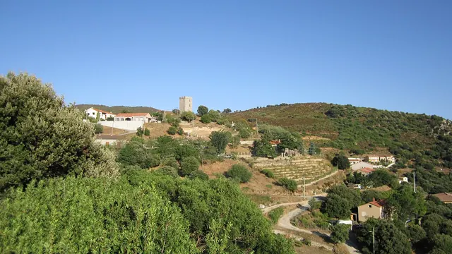 Photo de Arbellara