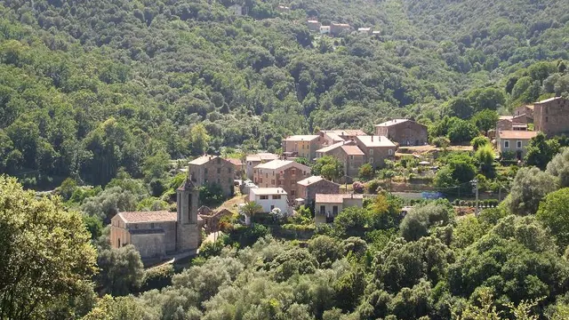 Photo de Arbori