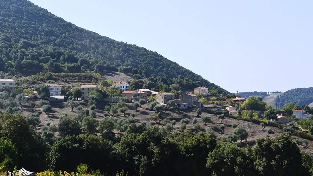 Photo de Arro